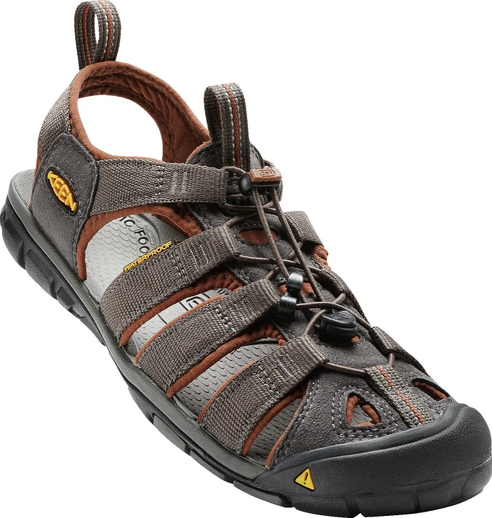 705-1014456_RAVEN-TORTOISE-SHELL-kopi.png