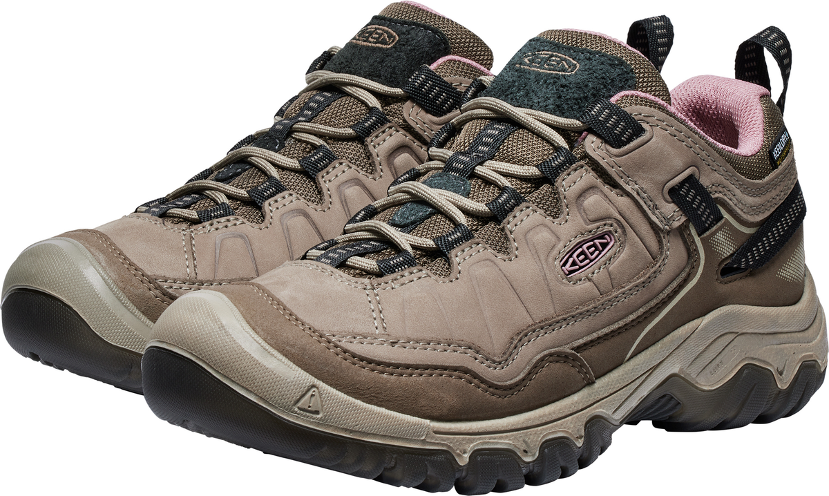 705-1028993_BRINDLE-NOSTALG-ROSE_3.png
