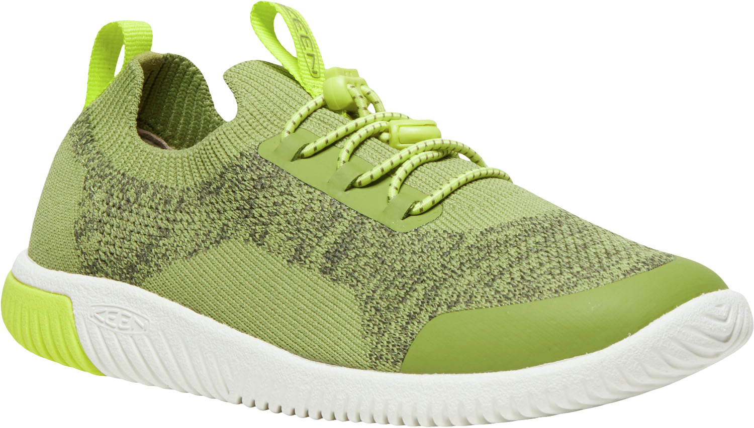 705-1030071_IGUANA-PRIMROSE_1.png