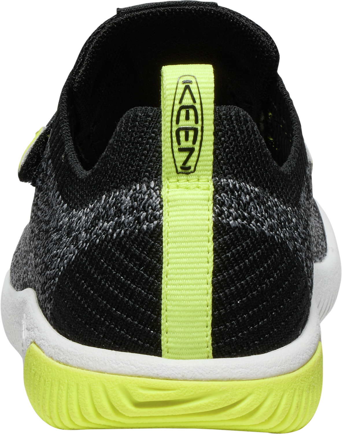705-1030075_BLACK-PRIMROSE_3.png