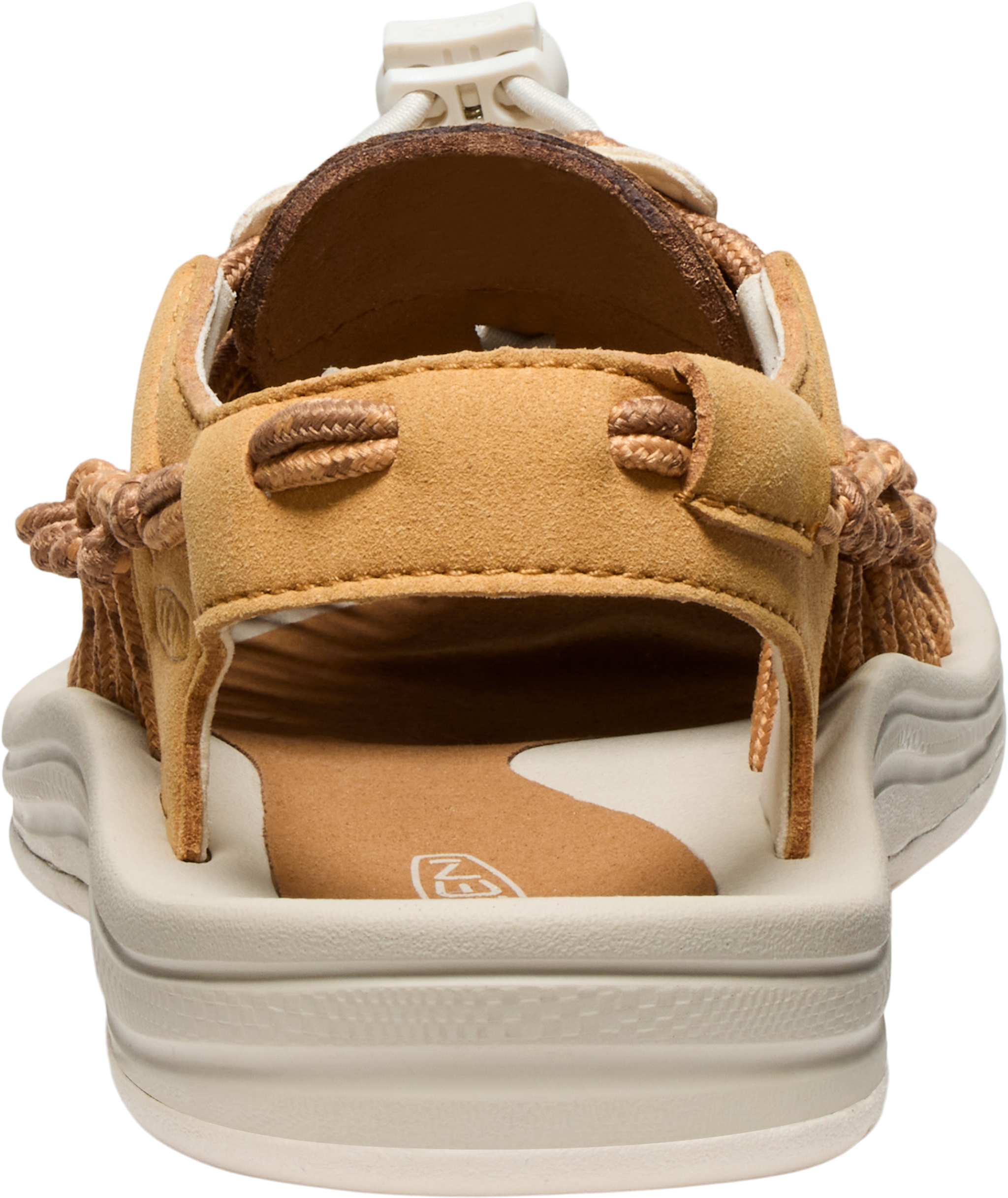 705-1030577_OAK-BUFF-CHIPMUNK_2.png