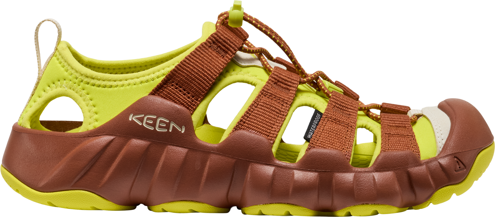705-1030612_ALGAE-GREEN.png