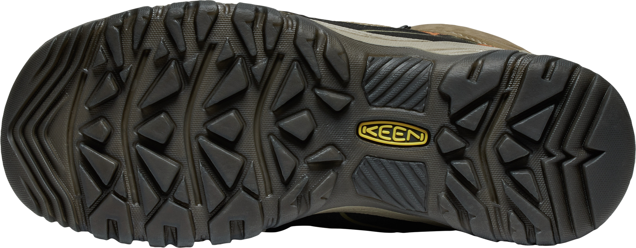 705-1030688_SEA-TURTLE-PECAN_2.png