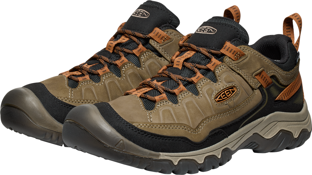 Men's Targhee IV Waterproof Hiking Shoe