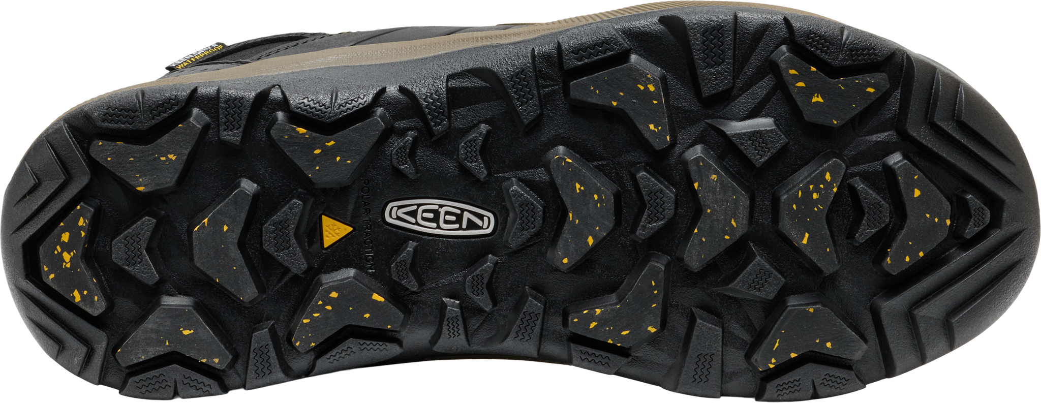 705-1031021_BLACK-LEMON-CURRY_3.png