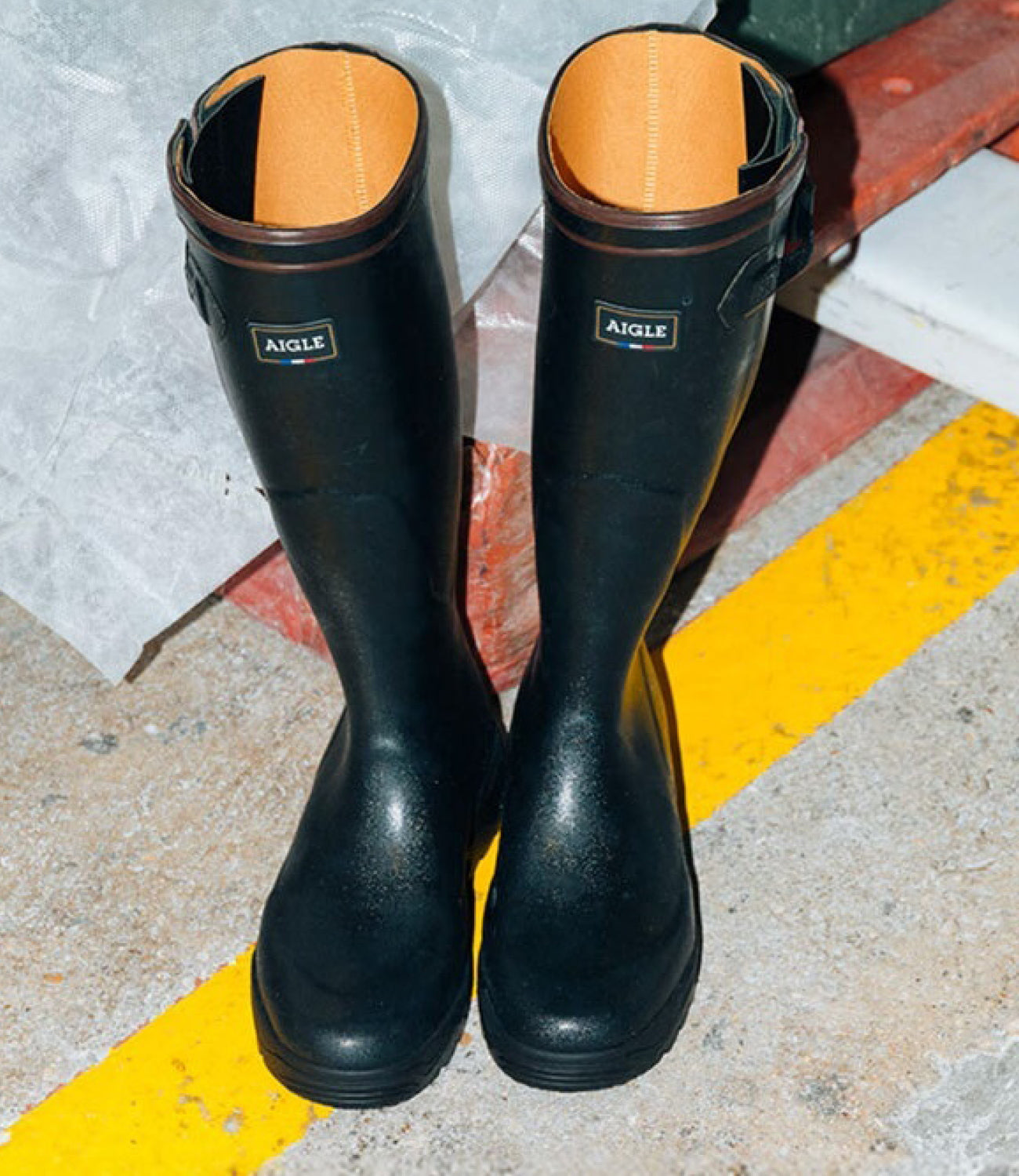 Aigle