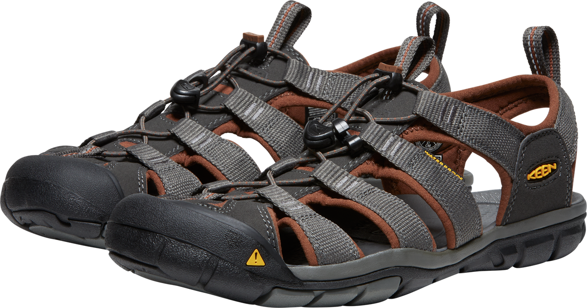 705-1014456_RAVEN-TORTOISE-SHELL_1.png