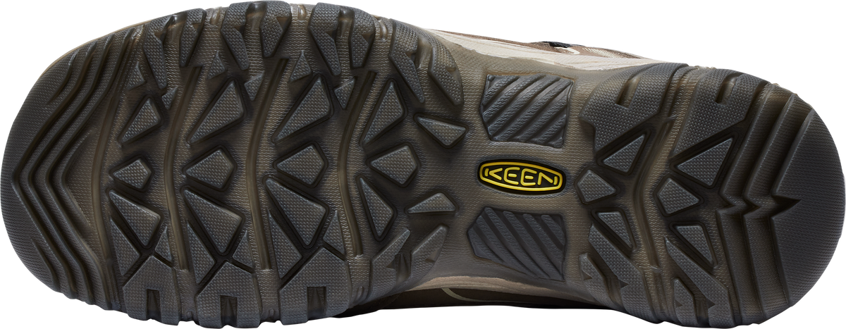 Women's Targhee IV Waterproof Hiking Shoe