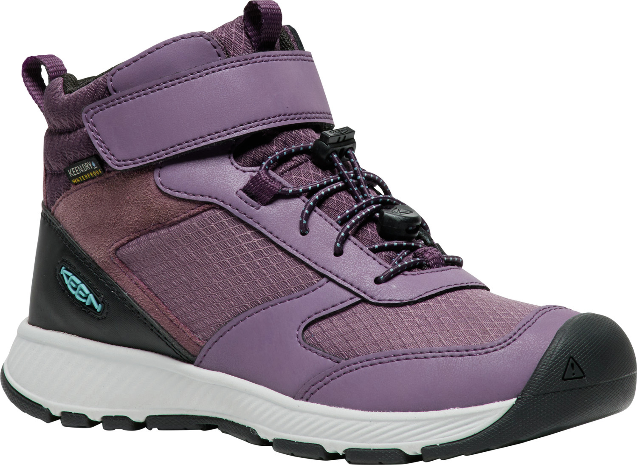 705-1029542_BLACK-PLUM-PLUM.png