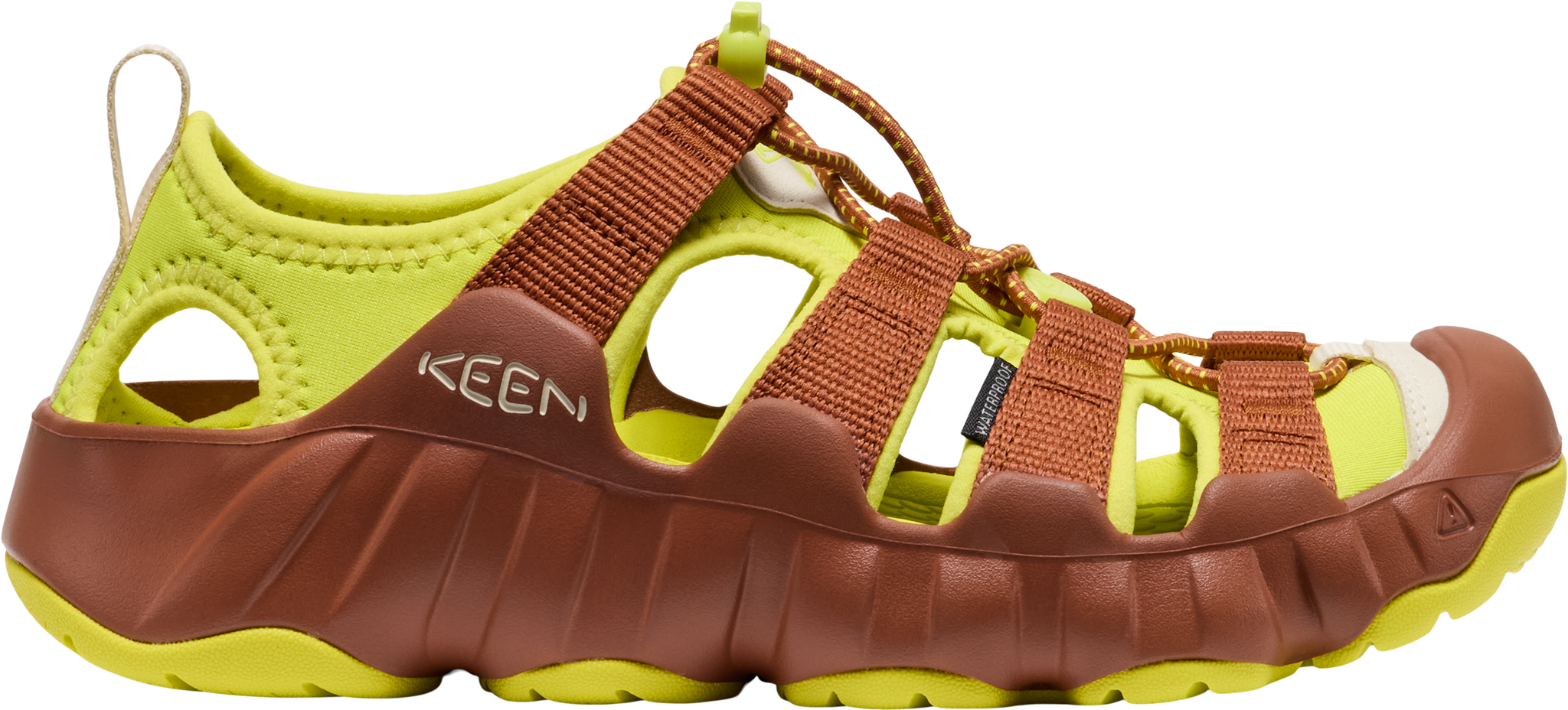 705-1030198_ALGAE-GREEN.png