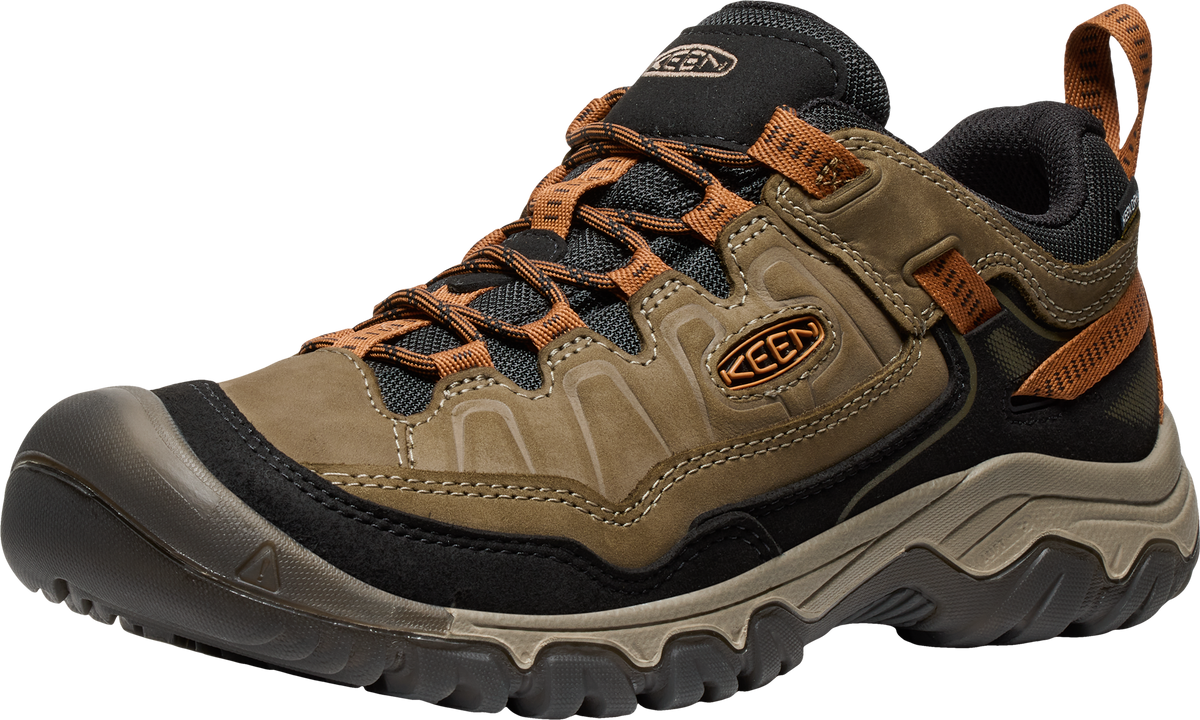 Men's Targhee IV Waterproof Hiking Shoe