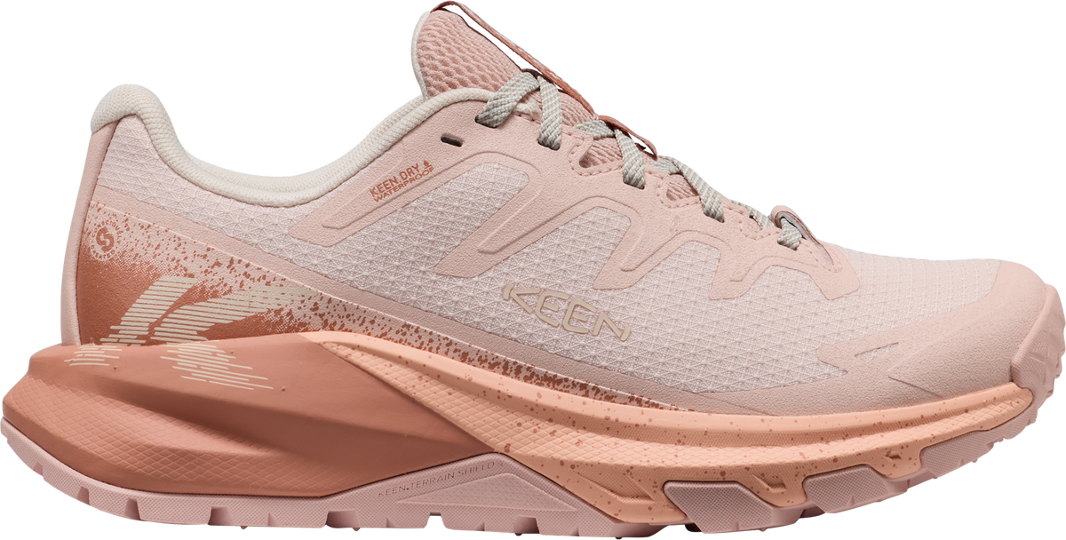 705-1032039_CAMEO-ROSE-PEACH-FZZ.png