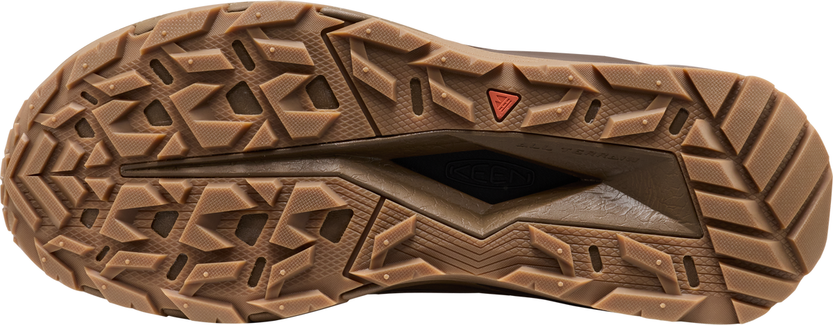 Men's Targhee Apex Waterproof Hiking Shoe